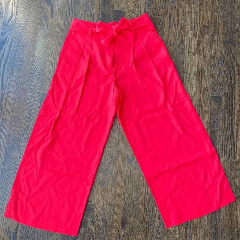 Ann Taylor Pleated Wide Leg Crop Pants